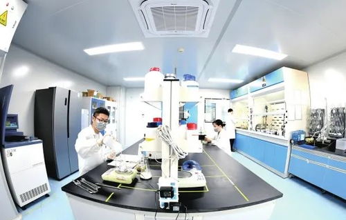 辛小湘丨促進(jìn)民營經(jīng)濟(jì)高質(zhì)量發(fā)展的湖南答案 生物技術(shù)開發(fā)服務(wù)的創(chuàng)新與實(shí)踐