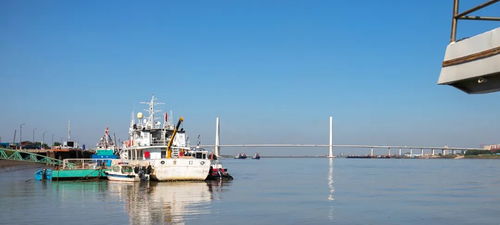 沿河向海，探秘營(yíng)口的文明新貌——主播眼中的城市魅力